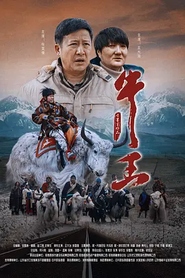 老司机精品福利视频